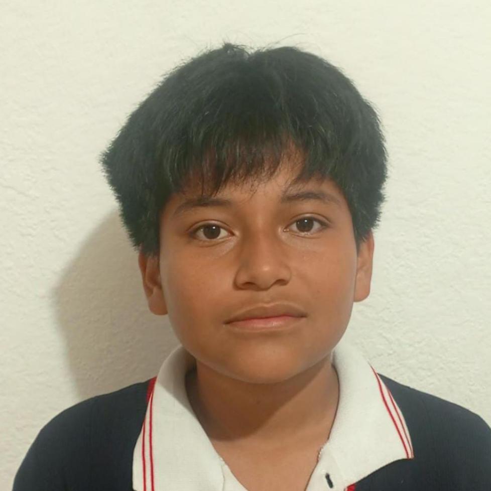 User Image