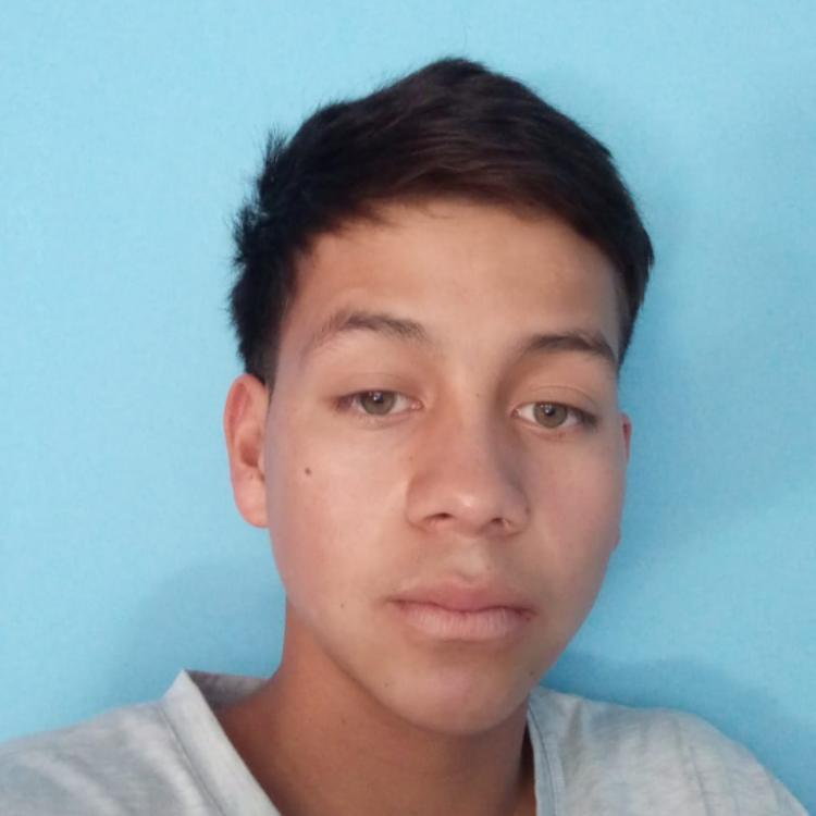 User Image