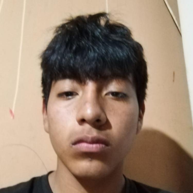User Image